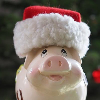 Pig with santa hat